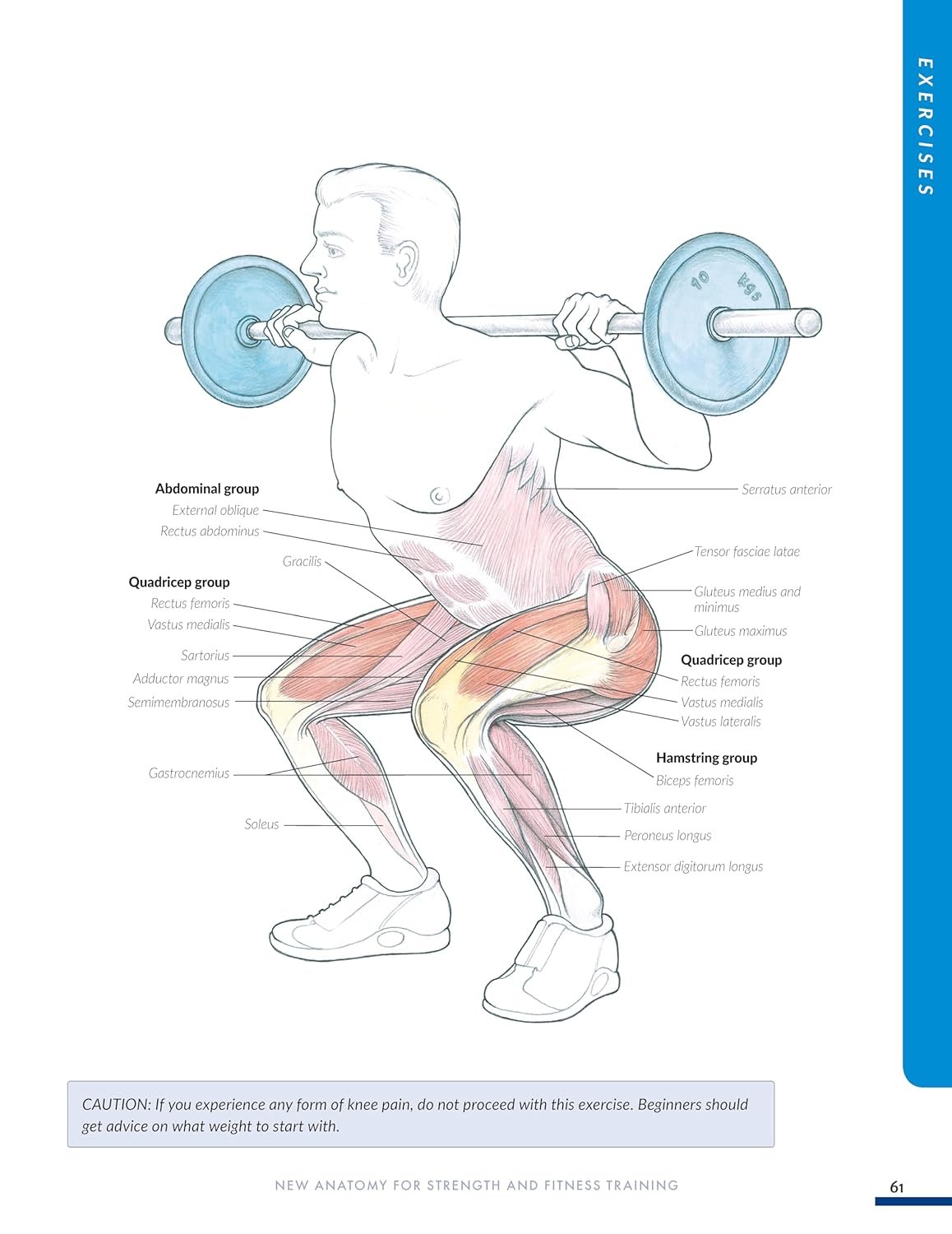 Read more about the article New Anatomy for Strength & Fitness Training review