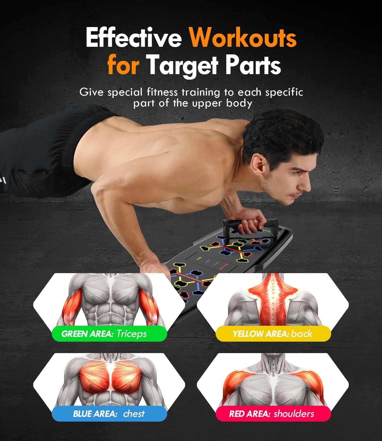 Read more about the article Push Up Board Review